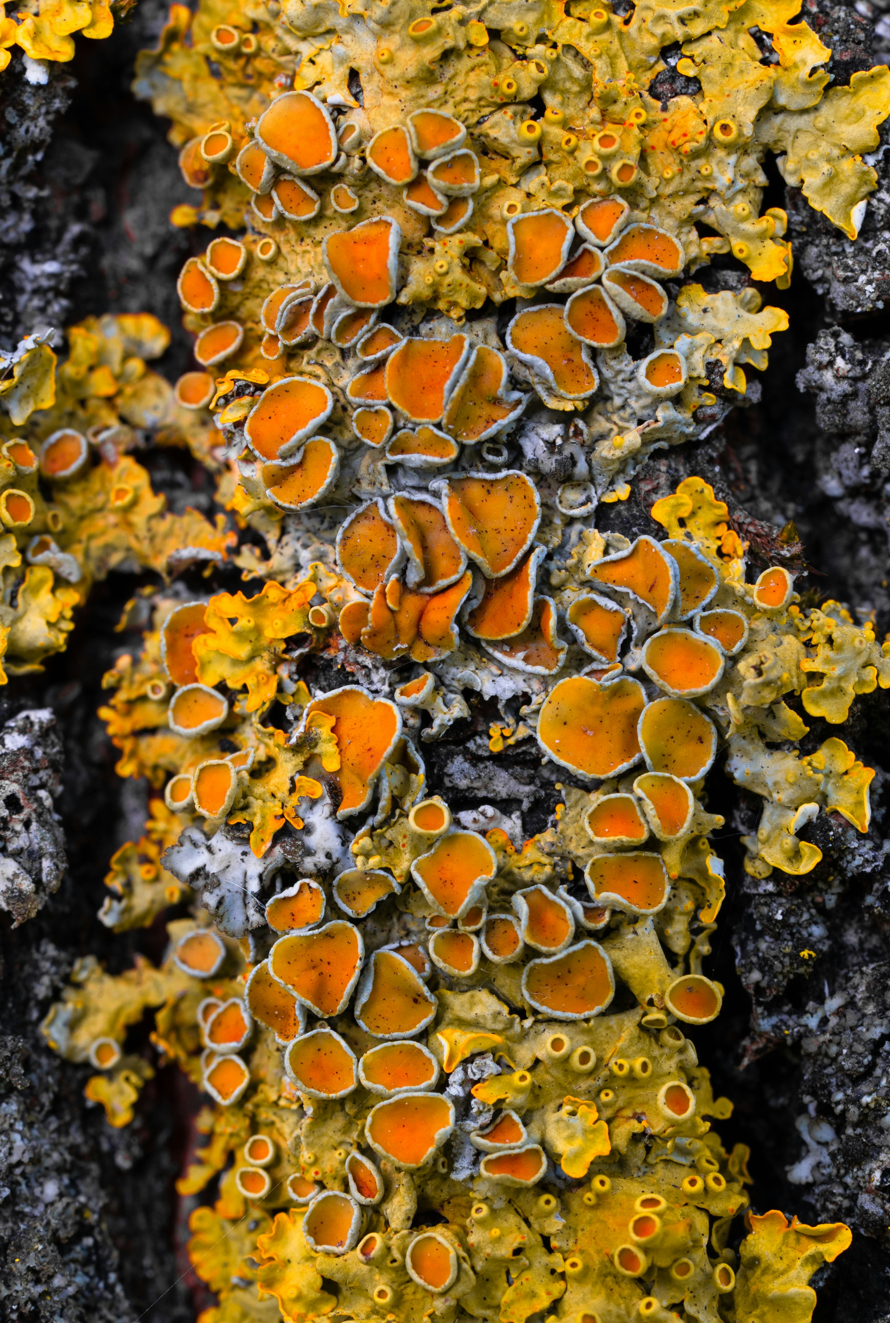 Abstract background image