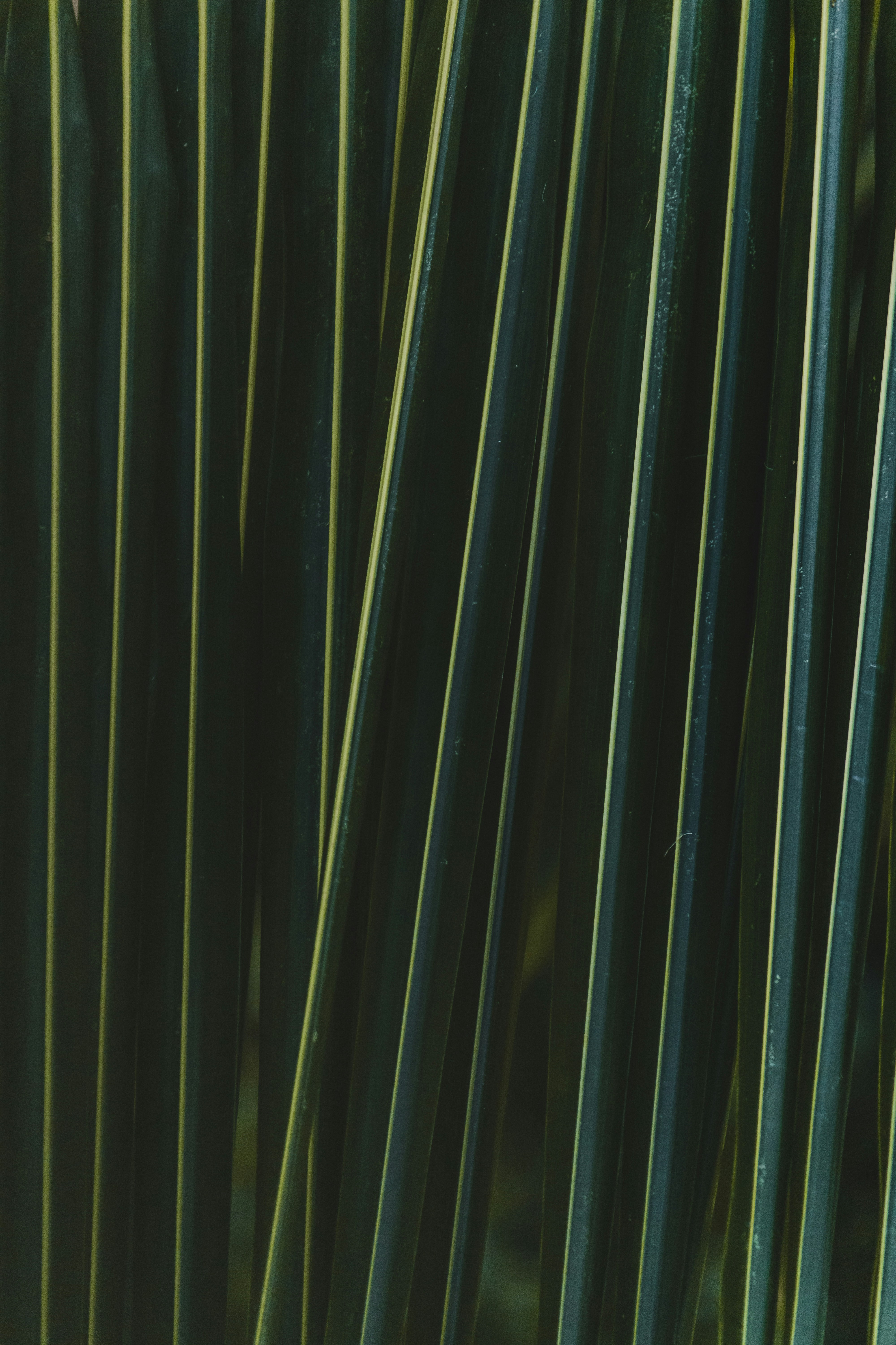 Abstract background image